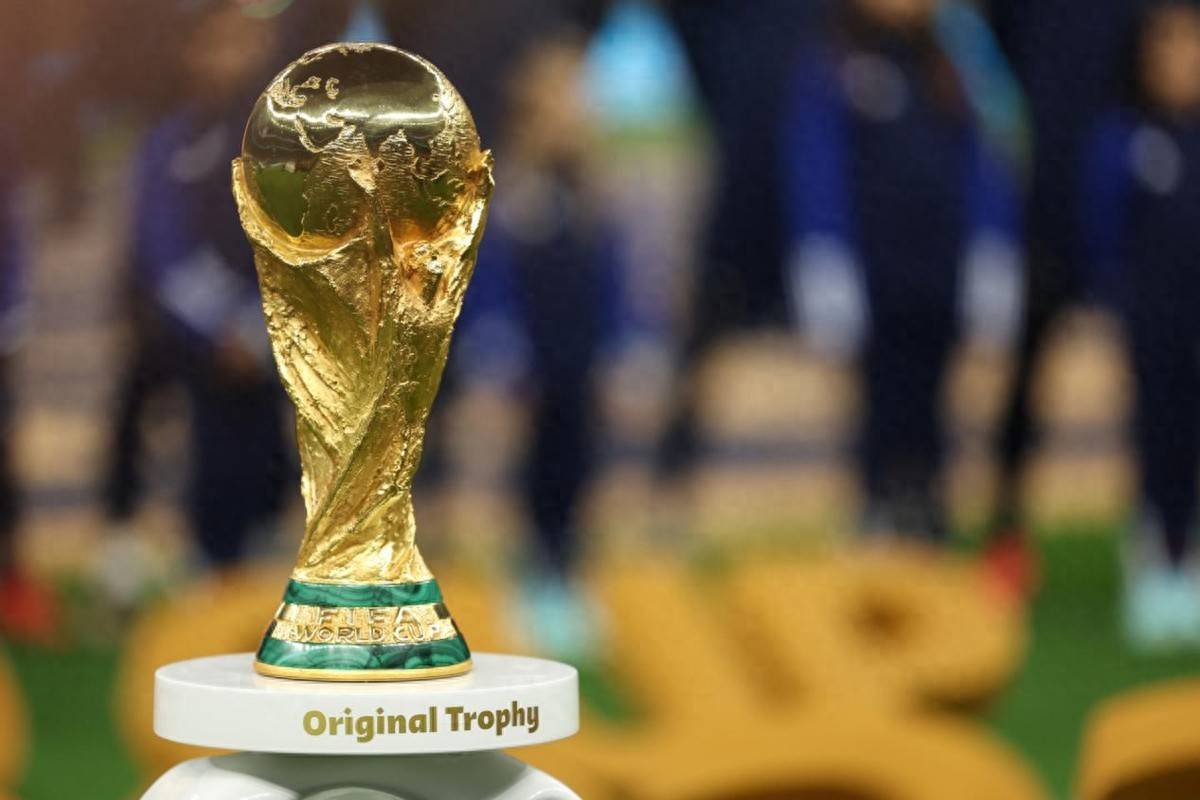 在灰熊与奇 在灰熊与奇